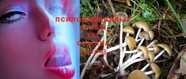 spice Зерноград
