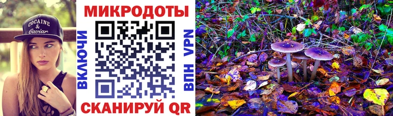Купить  Болотное  Псилоцибиновые грибы Cubensis 